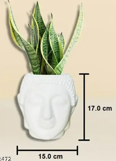 Screenshot (21).webp