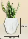 Screenshot (21).webp