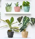 Screenshot (27).webp
