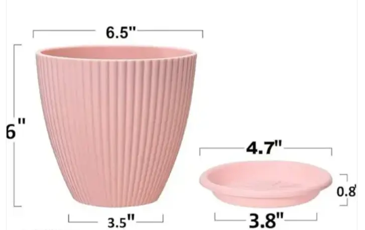 Screenshot (25).webp