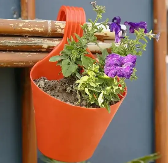 Screenshot (30).webp