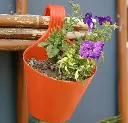 Screenshot (30).webp