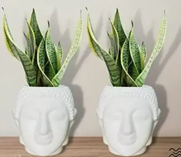 Buddha Pot Plastic White Flower Pot/Plant Pots for Home Decor, Washroom and Office Decor (Set of 2)