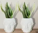 Buddha Pot Plastic White Flower Pot/Plant Pots for Home Decor, Washroom and Office Decor (Set of 2)